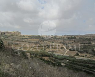 IMG_3923